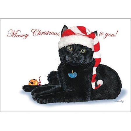 PIPSQUEAK PRODUCTIONS Pipsqueak Productions C730 Black Cat Cat Christmas Boxed Cards - Pack of 10 C730